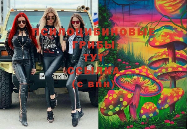 сатива Алексин